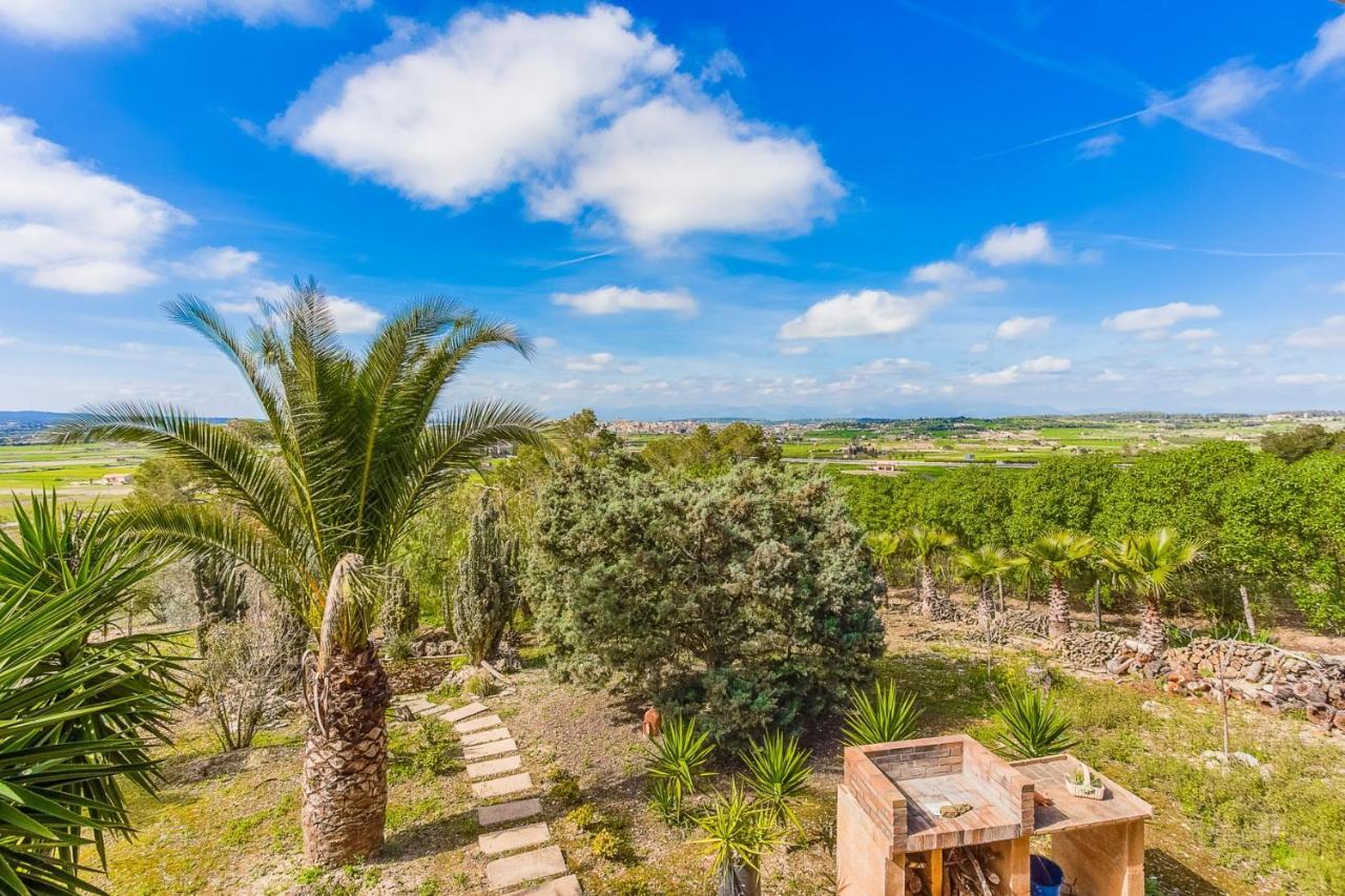 Villa Yupihome Tomeu *